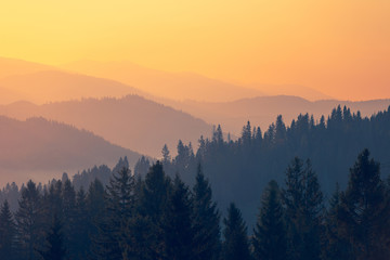 为什么越来越多的人要低糖饮食？_1